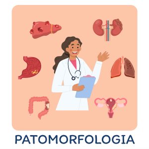 Kurs Patomorfologia - Dostęp na 1 miesiąc