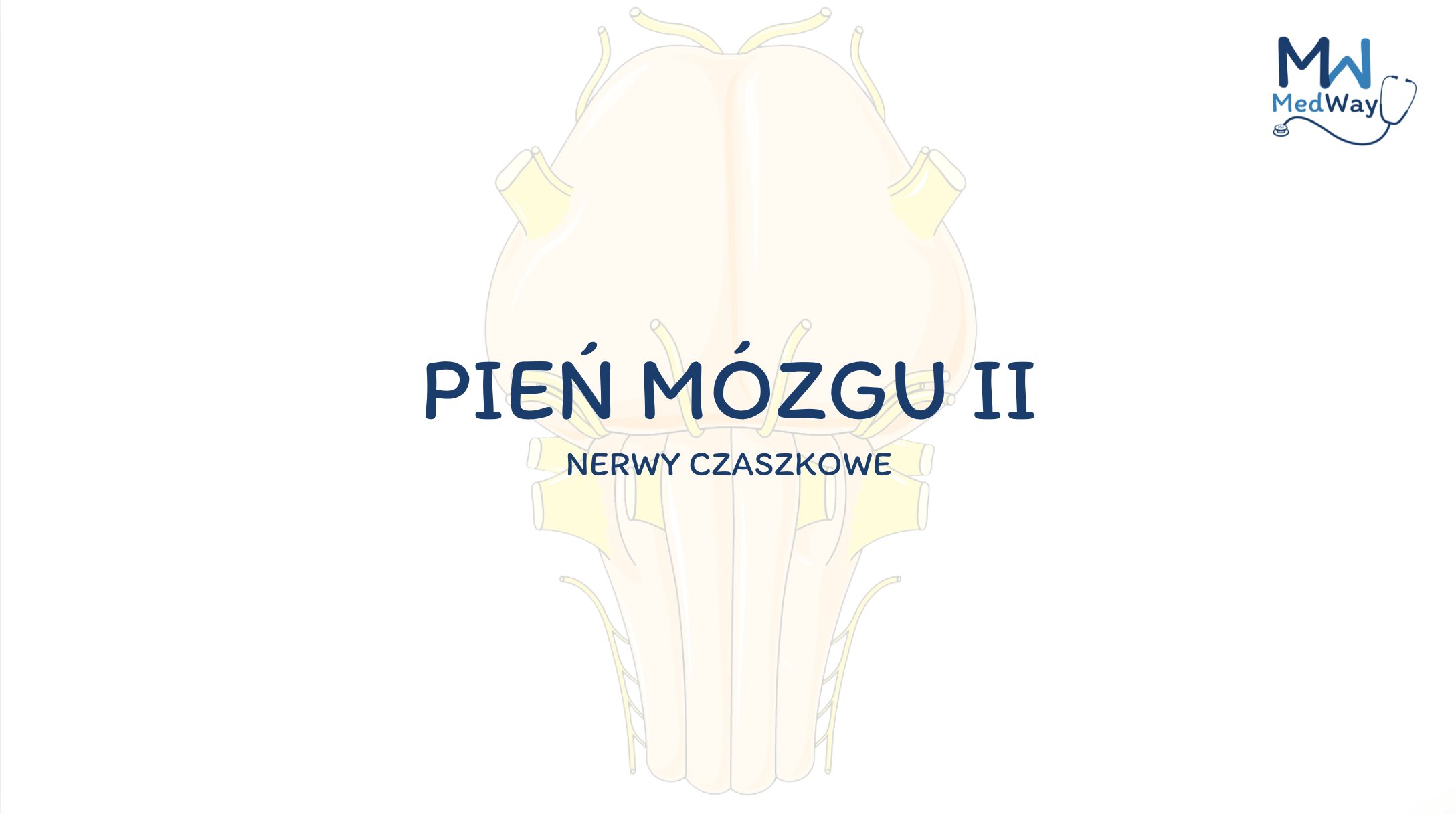 12.