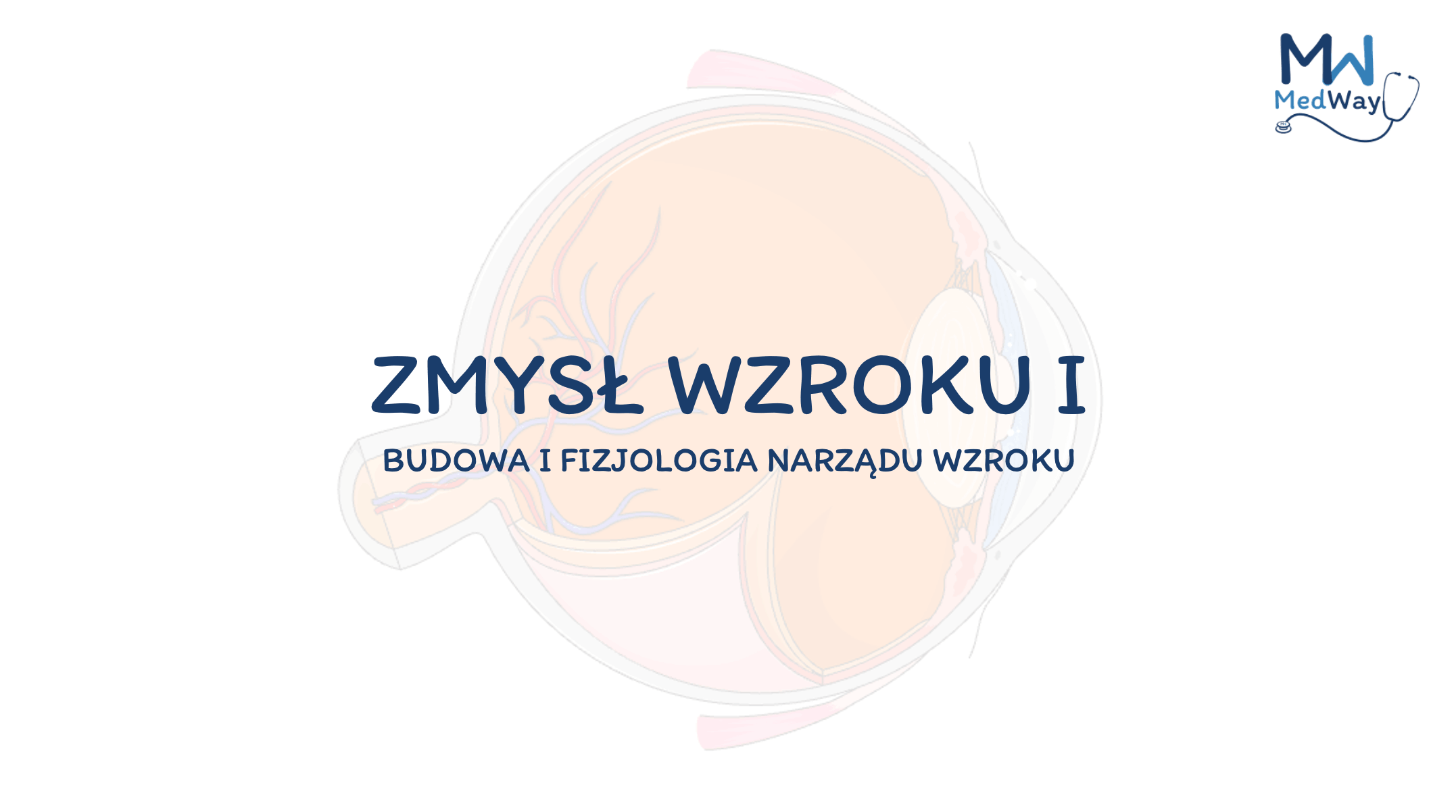 23.