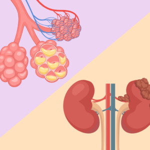 Kurs Patofizjologii + Kurs Patomorfologii